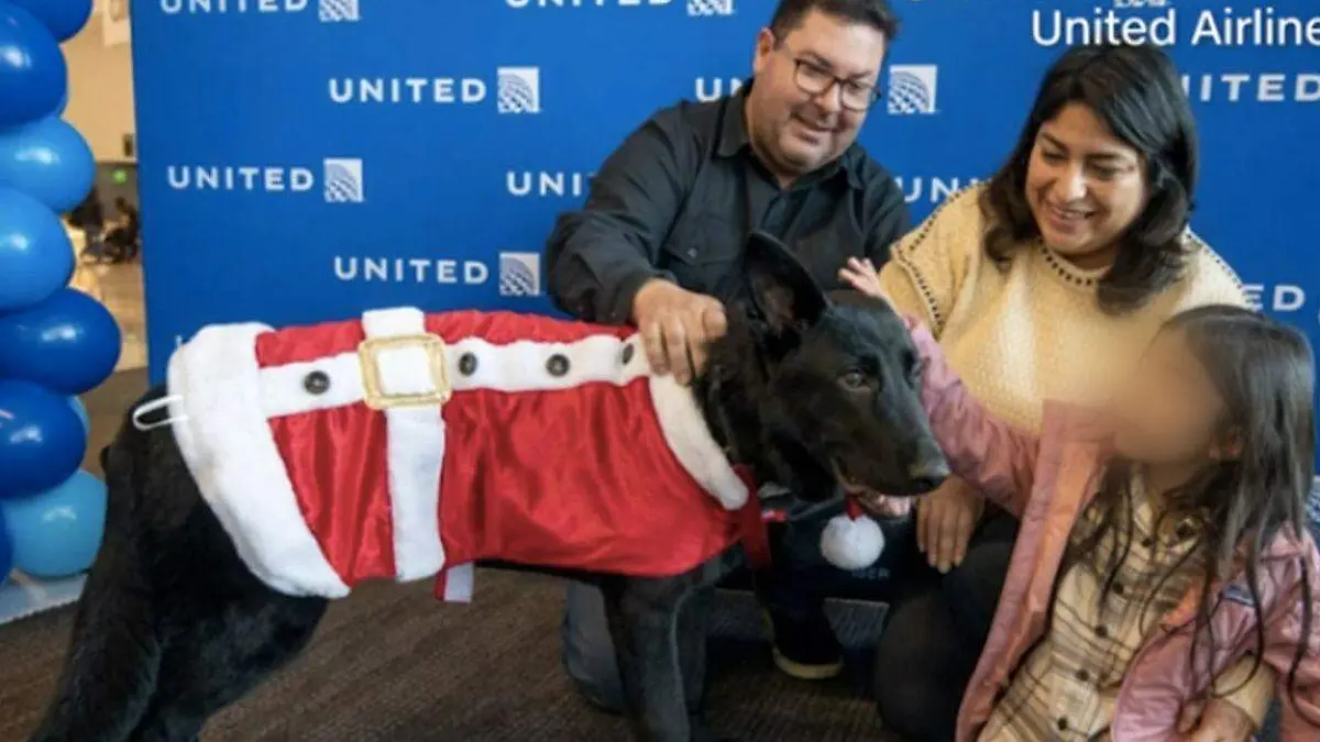 Perrito abandonado en el aeropuerto de San Francisco es adoptados por piloto de United